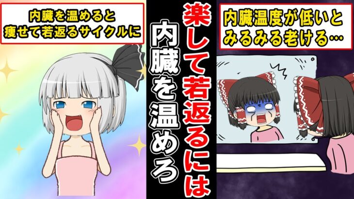 【みるみる若返る】内臓を温めると体に起こる驚きの変化とは【ゆっくり解説】