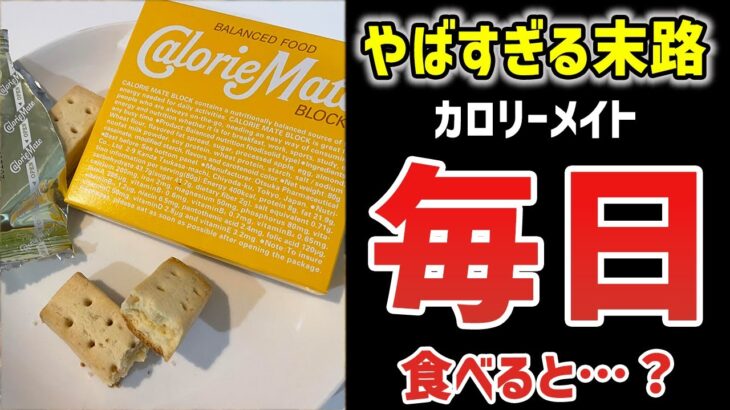 【ゆっくり解説】カロリーメイトを毎日食べた結果がヤバすぎたｗｗｗ