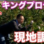 【南アフリカのリアル】お花ビジネスで日本に輸入するキングプロテアの現地調査に行ってきました！