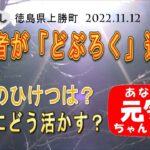 四国の山奥で移住者が会社を起業！「上勝開拓団」に聞く「移住・事業成功のひけつ」