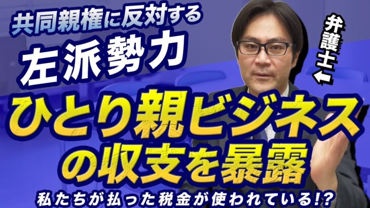 共同親権制度に反対する左派勢力「ひとり親ビジネス」の収支を暴露！