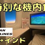 ビジネスクラスで10時間の空の旅‼︎ 機内食はまさかの…