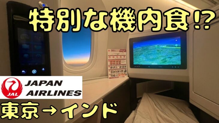 ビジネスクラスで10時間の空の旅‼︎ 機内食はまさかの…