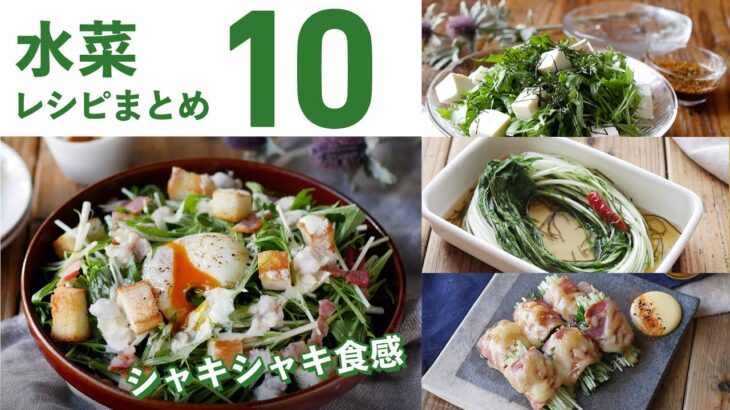 【水菜レシピ10選】サラダにも鍋にも！シャキシャキ食感♪｜macaroni（マカロニ）