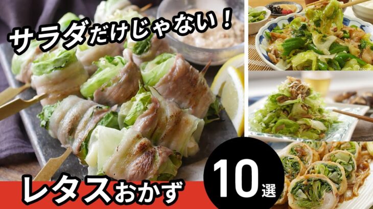 【レタスおかず10選】シャキシャキ食感！おかずにもおつまみにもおすすめレシピ♪｜macaroni（マカロニ）