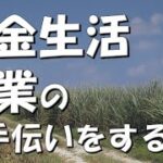 【年金生活#116】起業のお手伝いをする。経験を活かすボランティア。ライブコマースアプリ事業