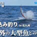 船釣りの作法＃16～釣技食技～　九州-北九州の落し込み×高橋哲也【ビーストマスター2000、アルシエラ落し込み】【まさかのカジキ】