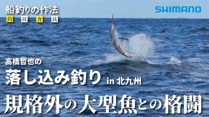 船釣りの作法＃16～釣技食技～　九州-北九州の落し込み×高橋哲也【ビーストマスター2000、アルシエラ落し込み】【まさかのカジキ】