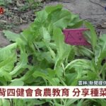 崙背四健會食農教育 分享種菜心得｜華視台語新聞 2022.12.06