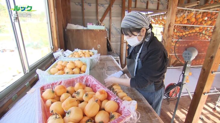 ルック　～地域発・輝くビジネス～・土井農園　2022/12/04放送