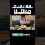 巨大すぎる4kgのまぐろ丼を1人で完食しようとした結果　 #shorts #大食い