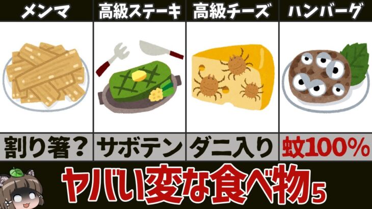 【奇食】食べても大丈夫なの！？変な食べ物5選　パート5