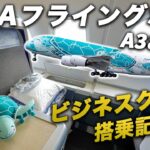 空飛ぶウミガメ！ANAフライングホヌ✈️ビジネスクラス搭乗記｜ホノルル→成田