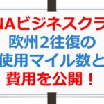 ANAビジネスクラス欧州2往復の使用マイル数と費用を公開！【ANAお得なマイル術、有村歩侑（ポウ）】