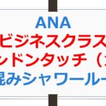 ANAビジネスクラス搭乗記、ロンドンタッチ（１）、激込みシャワールーム【ANAお得なマイル術、有村歩侑（ポウ）】