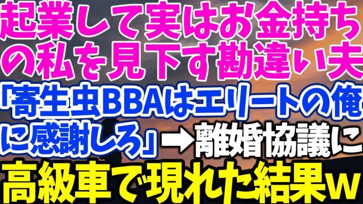 【スカッとする話】起業して実はお金持ちの私を見下す勘違い夫 「寄生虫BBAはエリートの俺 に感謝しろ」→離婚協議に 高級車で現れた結果ｗ【修羅場】