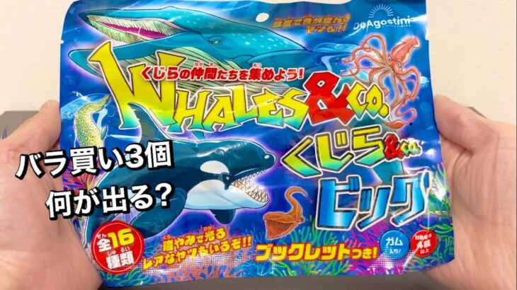 クジラだけじゃない⁉︎【食玩】くじら&Co.ビッグを3個開封してみた！クジラアンドコー/DeAGOSTINI WHALES&Co.BIG