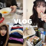 【Diet vlog】体調不良で一日一食🌀💦ストレスで物欲も大爆発💸💣SHEIN、ドンキ購入品、ダイエット中にオススメの食べ物🍴🍫