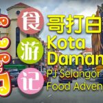 雪州 【哥打白沙罗】 食游记 (❤▽❤)/ (Kota Damansara) PJ Selangor food adventure