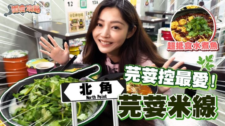 衛詩雅 Michelle Wai – 芫荽控最愛！北角芫荽米線，超抵食水煮魚‌～ [ 衛食攻略 EP.56 ]