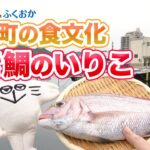 ＜鮮度自慢の鯛茶漬け＞＆＜漁師町の食文化 焼き鯛のいりこ＞ 日本財団 海と日本PROJECT in ふくおか 2022 #32