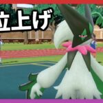 【ポケモンSV】ビジネスホテルから3桁チャレンジいくどおおおおお【ランクバトル配信】