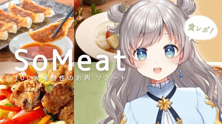 【 SoMeat 】大豆ミートの食レポ & 雑談するよ！┊花風りん