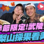 【#台中】季節限定！武陵追楓 梨山採果看美景| 曾子余.六月 SuperTaste in Taichung, Taiwan| 食尚玩家2天1夜go 完整版 20221130