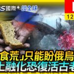 【全球｢食荒｣只能盼俄烏停戰？永凍土融化恐復活古老病毒｜TVBS國際+談全球LIVE】