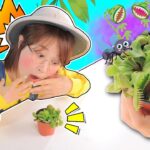 神奇植物大作戰！夏天帶你揭秘食蠅草的天賦技能 Venus flytrap 小伶玩具 | Xiaoling toy