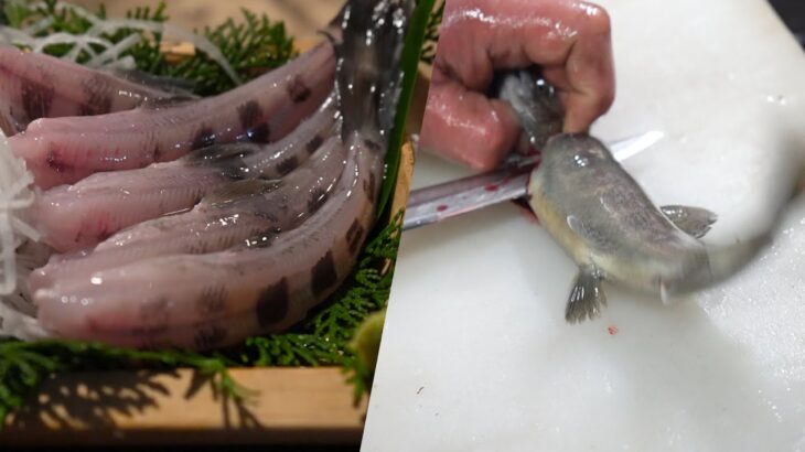 【奇食】山女魚の踊り食いや岩魚の刺身を年末に堪能したい