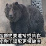 冬季來臨動物要進補或禁食，盯緊氣候變化調配更保健康