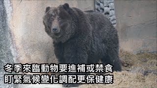 冬季來臨動物要進補或禁食，盯緊氣候變化調配更保健康