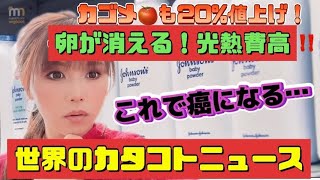 卵が消える！光熱費高！海外は数か月後の日本の状況！！世界もインフレ値上げが止まらない★世界のカタコトニュース★１２月３日＃備蓄　＃食糧危機　＃インフレ