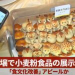 平壌で小麦粉食品の展示会 「食文化改善」アピールか