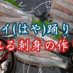 【奇食】生きたウグイ（はや）の活け造りの作り方、良く動くお刺身♪