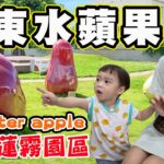 【屏東水蘋果】蓮霧 透紅佳人夢想樂園 枋寮藝術村 藍皮意象館 林邊共融公園 食三香 藍皮解憂號