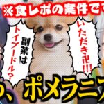 【食レポ】第一声で犬種(ﾎﾟﾒﾗﾆｱﾝ)が出てくる樋口楓の異彩を放つ食レポ案件【樋口楓/静凛/でろーん/にじさんじ切り抜き】