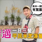 【泰國旅遊vlog 17】連食三間清邁米芝蓮餐廳/Ginger Farm Kitchen”👍🏼”/SP雞”👌”/Mae Sai咖喱麵/ #泰國旅遊 #清邁自由行 #mikeyuen#寧曼路