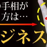 【手相占い】この手相があったらビジネス運急上昇！【手相鑑定 vol.205】