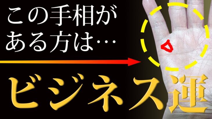 【手相占い】この手相があったらビジネス運急上昇！【手相鑑定 vol.205】