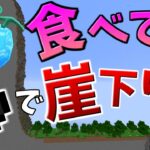 悪魔の実を食えば体力0.5の鬼畜アスレチックをクリアできるのでは!?-マインクラフト【Minecraft】【OnePiece】【HALF HEART RACE】