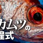 船釣りの作法＃17～釣技食技～　茨城のアカムツ×松本圭一＆鈴木新太郎【ビーストマスター2000】