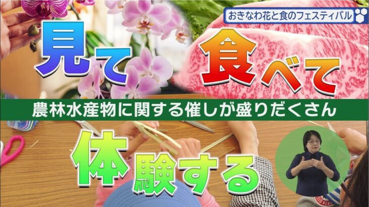 「おきなわ花と食のフェスティバル2023」うまんちゅひろば令和５年１月７日、１月８日放送