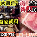 中國大飢荒！？衛健委推動「全民食米糠」網民斥「要人食豬飼料？」瘋傳人民幣「2025消失？」內地公布「一周6364死亡」專家稱新冠「成群體免疫」踢爆「官員扶貧」做假！29/1內地猛料「看中國新聞快訊！」