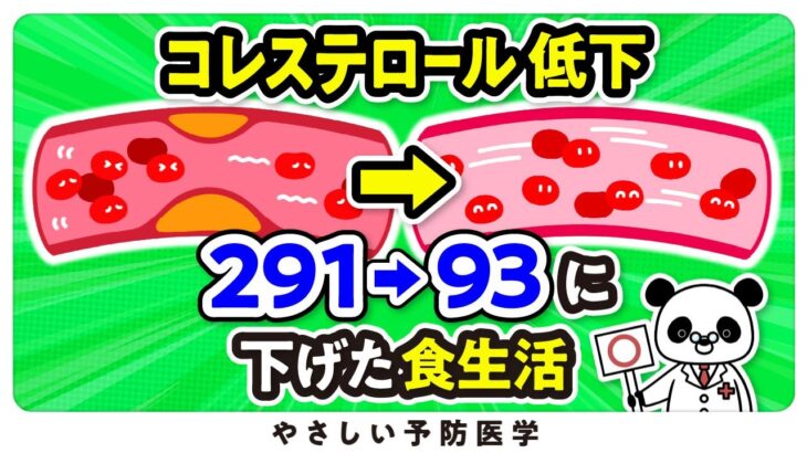 【医師解説】コレステロール値を291から93まで下げた食生活