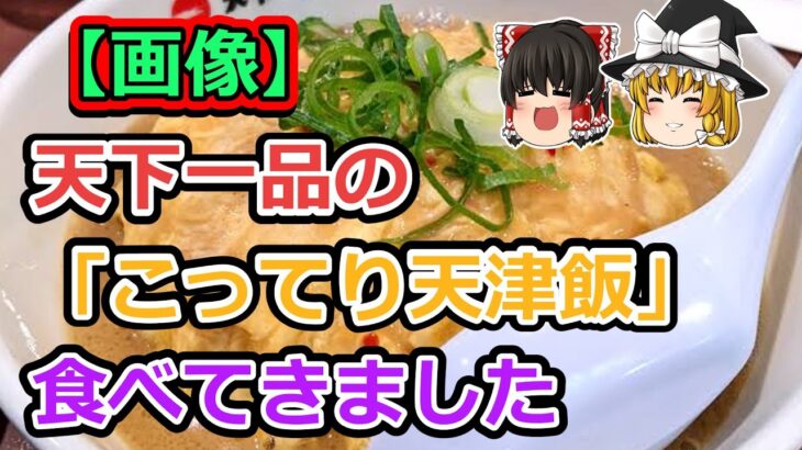 【2ch食スレ】天下一品の「こってり天津飯」とかいうものを食べてきました【ゆっくり解説】