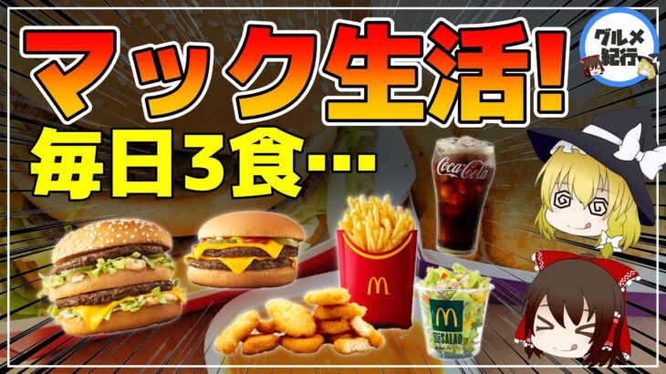 【ゆっくり解説】マックを毎日3食食べたら…体に起きることがヤバすぎる件について