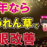 【40代50代】食生活を見直して老眼を改善！老眼に効く食べ物とは【うわさのゆっくり解説】