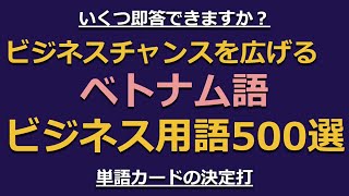 ビジネスチャンスを広げる　ベトナム語ビジネス用語500選